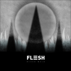 Flesh - Hard Night, Cold Dawn (Horskh Remix)