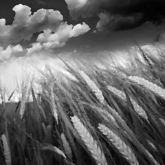 Wild West End - cover