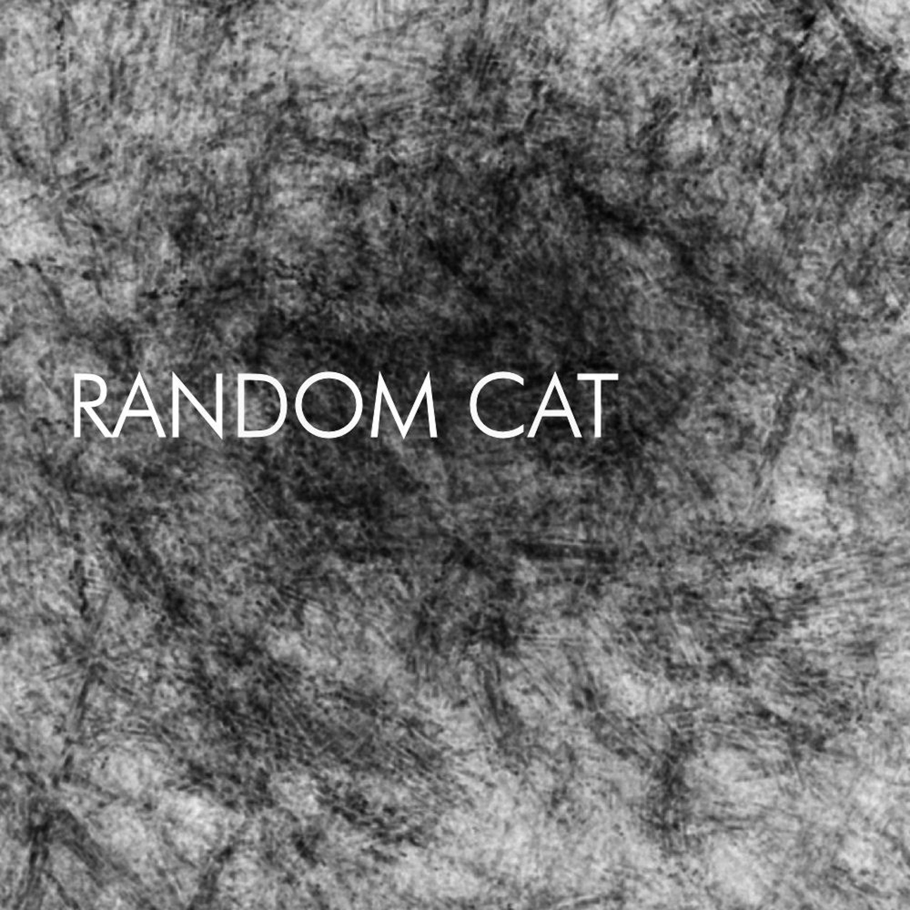 Random Cat episode artwork