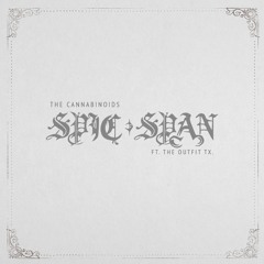 The Cannabinoids ft. The Outfit, TX - "Spic & Span"