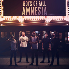 Boys Of Fall - Amnesia
