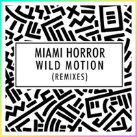 Miami Horror - Wild Motion (RAC Remix)