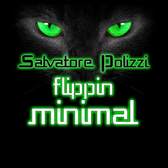Flippin Minimal - Salvatore Polizzi on DC 10 Rec.