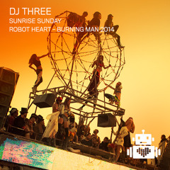 DJ Three - Robot Heart - Burning Man 2014