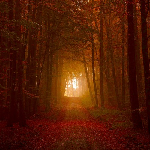 2014 - 09 - 11 Deep Road @ 4 Sterne Mix - Deep House Edition