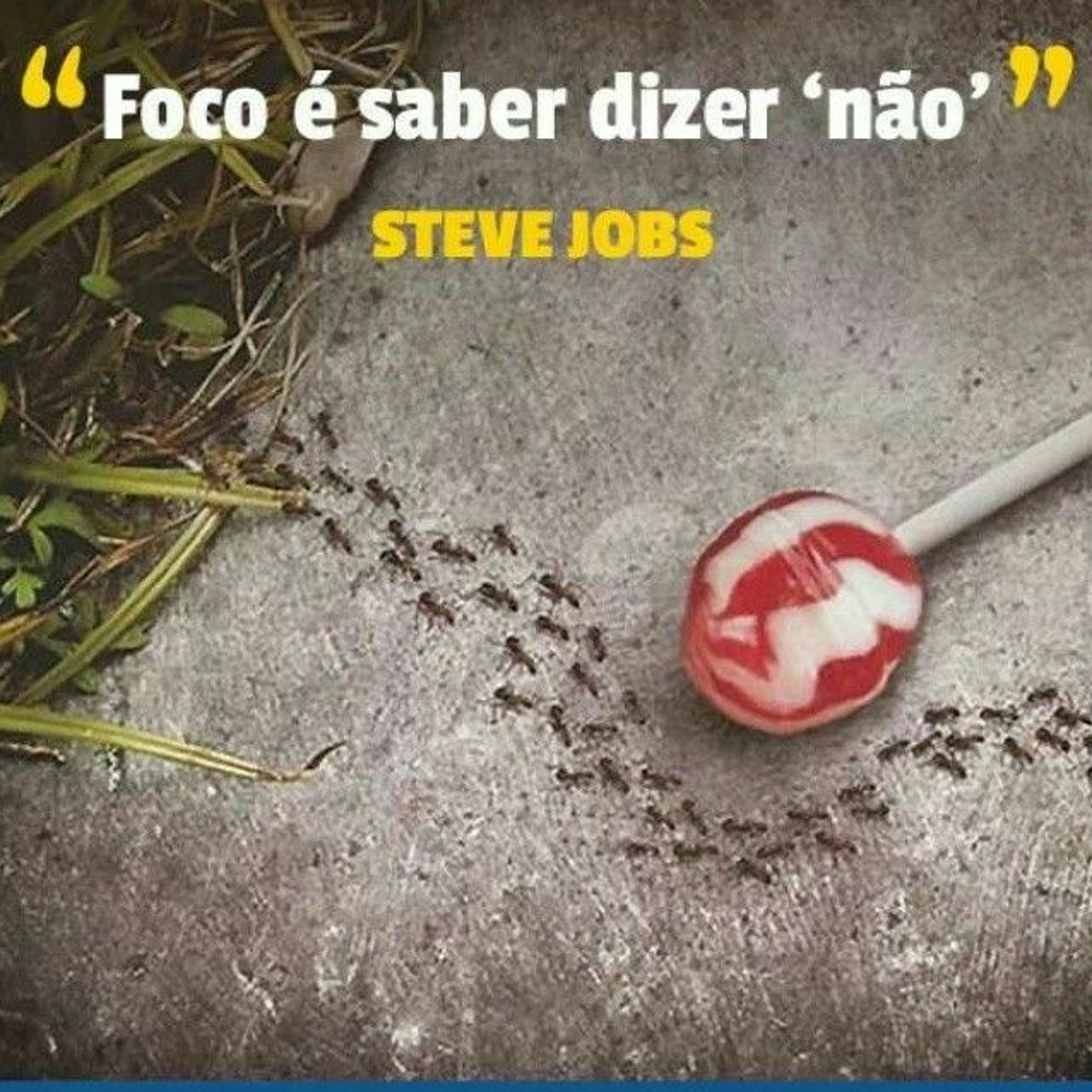 Foco é força! episode artwork