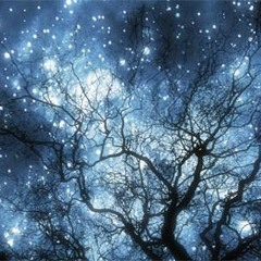 On A Dark And Starry Night (Demo)