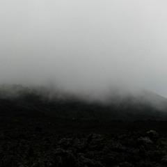 Jason Rados _ Without Order