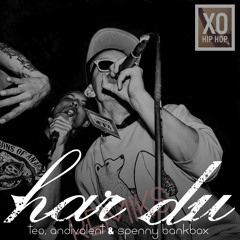 Teo, Andivalent & Spenny Bankbox - Har Du (Remix)