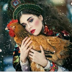 Hej Sokoly -  Hé  Faucons