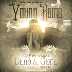 Free My Niggaz (dead&gone)