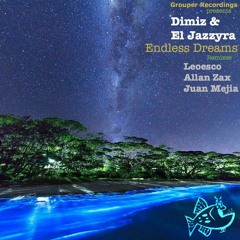 Dimiz & El Jazzyra - Endless Dreams (Allan Zax remix) preview
