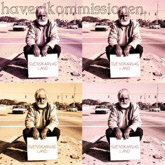 Haverikommissionen - Svenskarnas Land