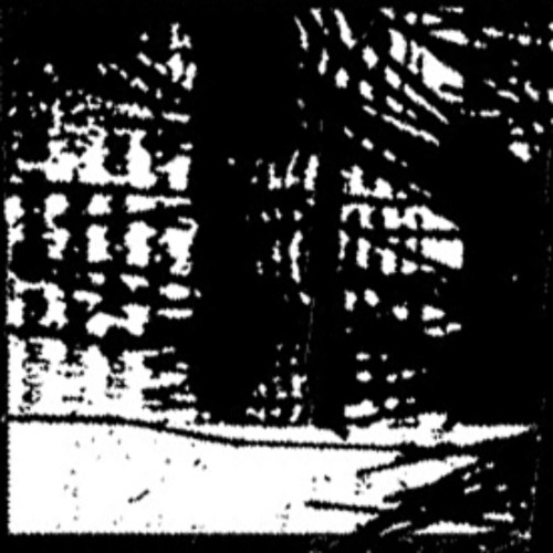 Reality crashes my brain