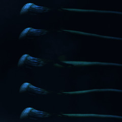 Huguenauts - 03 - Ralmuttr