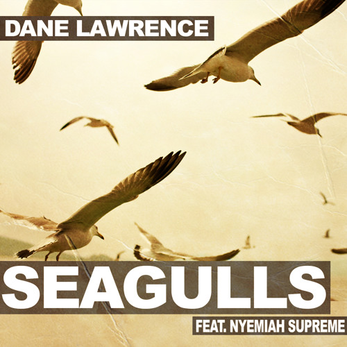 Seagulls (Feat. Nyemiah Supreme)