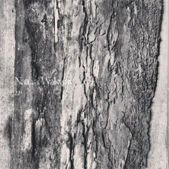 Natural Walkway - Natural Walkway EP Album