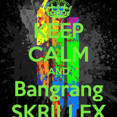 Skrillex Bangrang (mix - Fast And Slow)