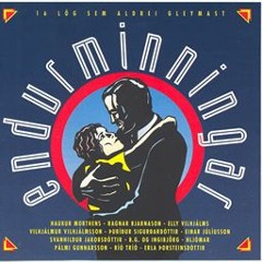 Egill Orðljótur, Mc Bjór - Endurminningar