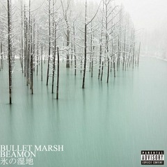 Beamon - Bullet Marsh (produced by Aura)