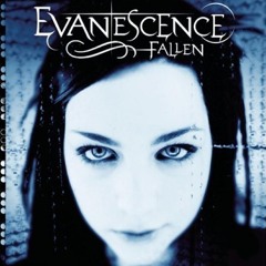•bring me to life•evanescence•