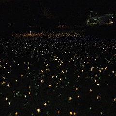 Light Years Away