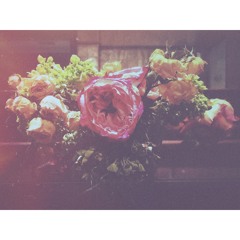 Those Pretty Things.