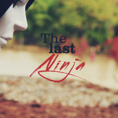 THE LAST NINJA SOUNDTRACK