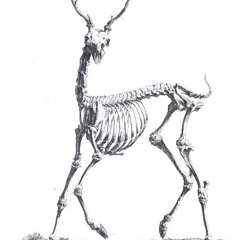 15 - B▲N▲L ▲N▲L - Criminal (Britney Spears Fatale remix)