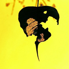 Thing Called Love - Above & Beyond (Ether Blu Cover)