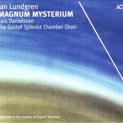 Jan Lundgren - Lars Danielsson - Magnum Mysterium - Vinea Mea