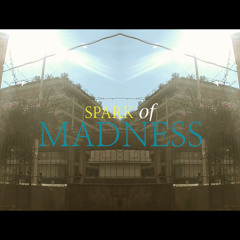 Spark Of Madness