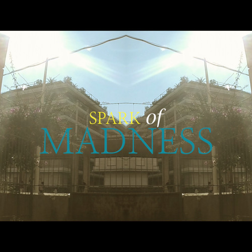 Spark Of Madness