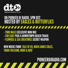 Data Transmission Radio Show 028 - Pioneer Radio - Hosted by Eagles & Butterflies