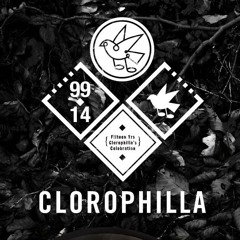 THE ELEMENT LIVE AT CLOROPHILLA