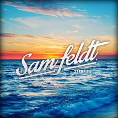Sam Feldt - Zeebries (Mixtape)