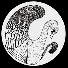 Joesph - No One Wonders