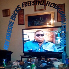 MASSIVE BUCKS,FREESTYLE