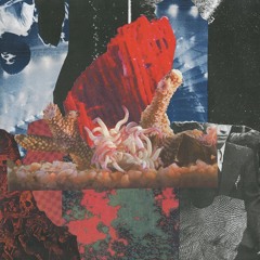 Signal - Event Horizon