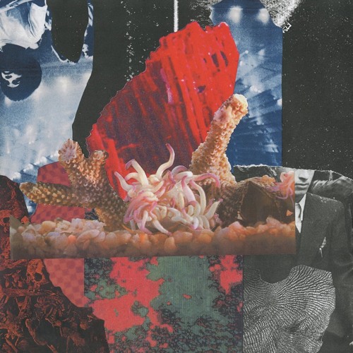 Signal - Event Horizon