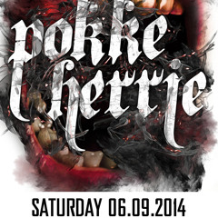 Critical Storm @Pokke Herrie 06.09.14