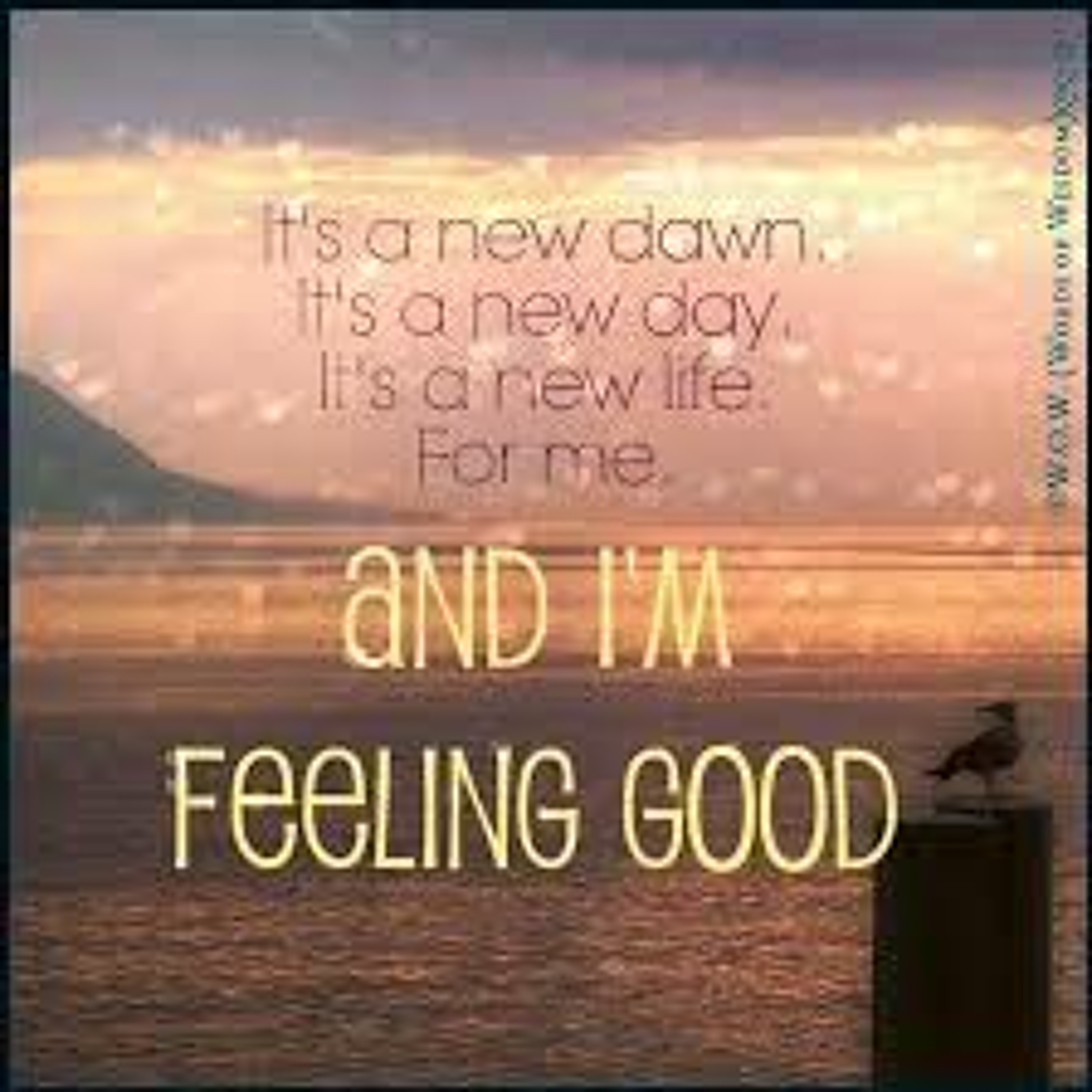 Its A New Dawn, Its A New Day, Its A New Life For Me :) episode artwork
