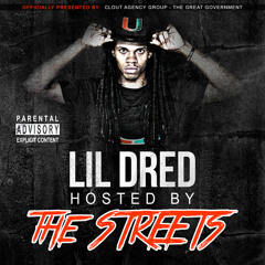 Lil Dred-Revenge- prod by Audio Jones
