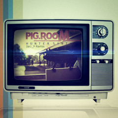 Hunter Synth_Pig Room (Sec_9 Remix)