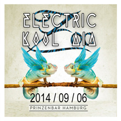 Electric Kool Aid DJ-Set (1st hour) @ Zoo (w.Red Robin)Prinzenbar HH - 2014.09.06. (FREE DOWNLOAD)