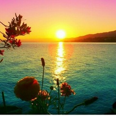  توضيح من فقيه المدينة الشيخ سليمان الرحيلي أن كلام الشيخ عبيد في العتيبي لا يُعتبر تجريحا له at سؤال الاخ خليل الحنشي للشيخ سليمان الرحيلي حول كلام الشيخ عبيد في الشيخ اسامة العتيبي