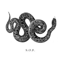 S.O.F. - tired of you