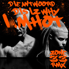 DIS IZ WHY I'M HOT [ZONE - 33 RMX]