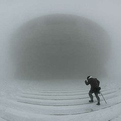 Colony Vegetable (Practice)