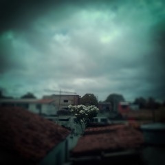 supercombo - amianto / cover